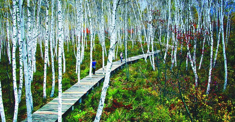 地名趣谈,桦甸是一个什么样的城市