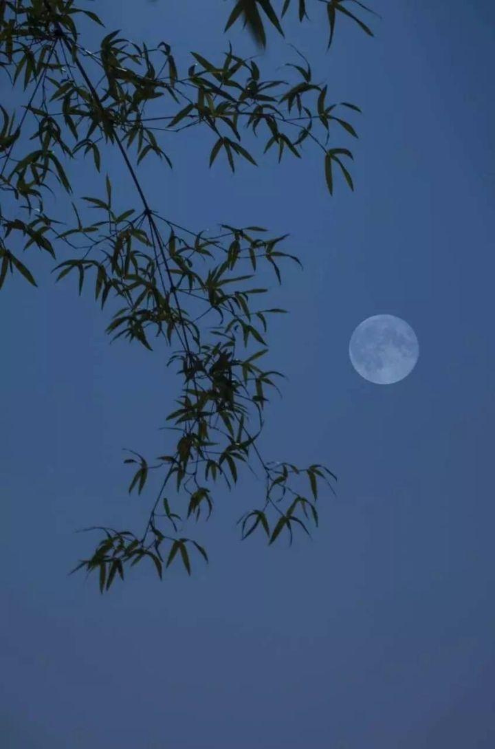 中秋最美诗句30句图文,中秋节诗句配图大全