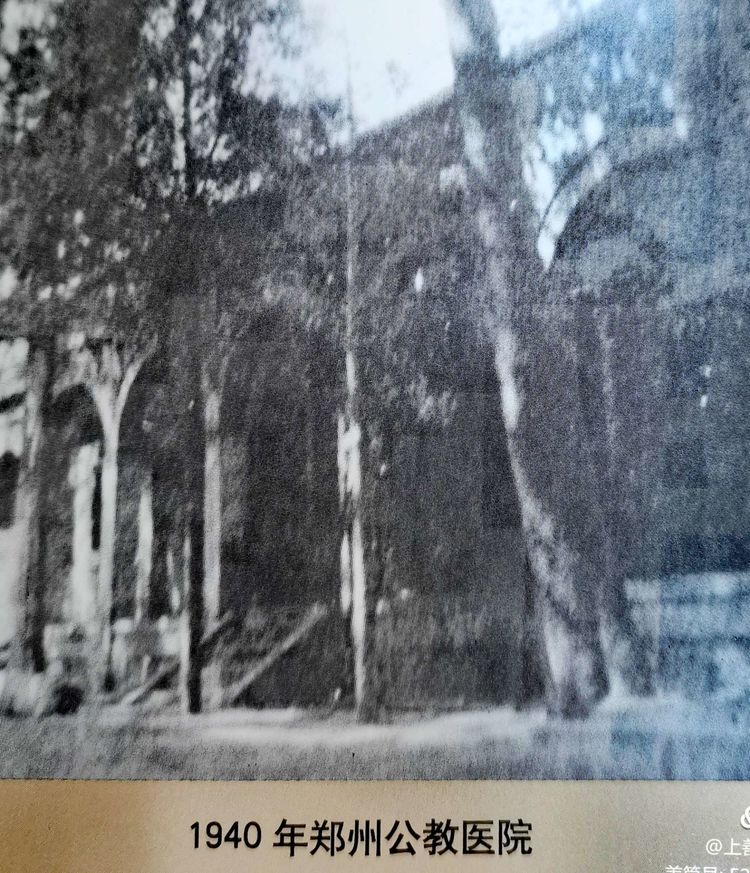 记忆老郑州,记忆中的老郑州图书