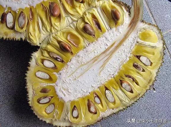 到马来西亚旅游,水果控一定不要错过这6种水果!