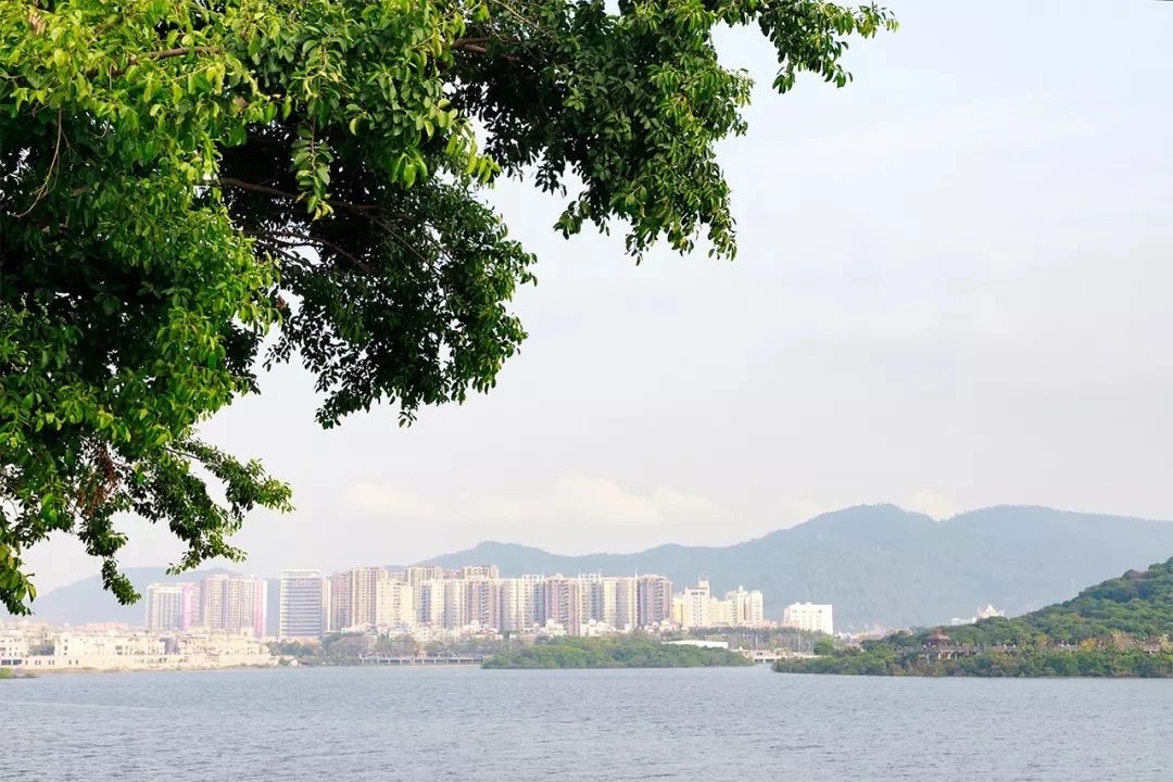 深圳11号线哪一站下车可以看海,坐深圳11号线去看海的地方