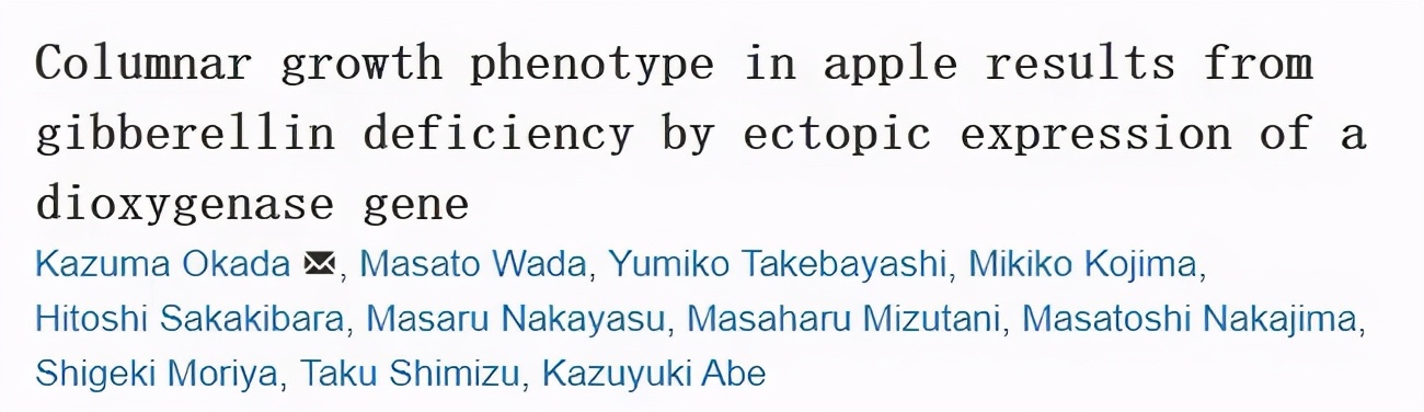 柱状苹果树一般长多高,苹果树树干的外形特征