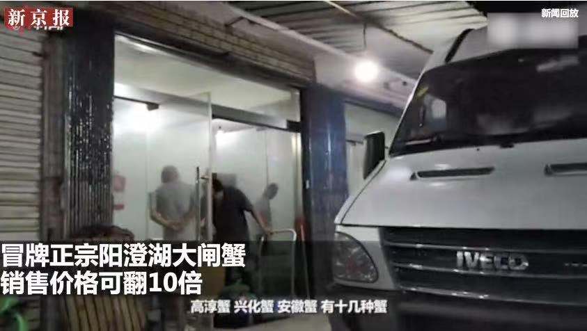 阳澄湖大闸蟹打假新闻,冒牌阳澄湖大闸蟹