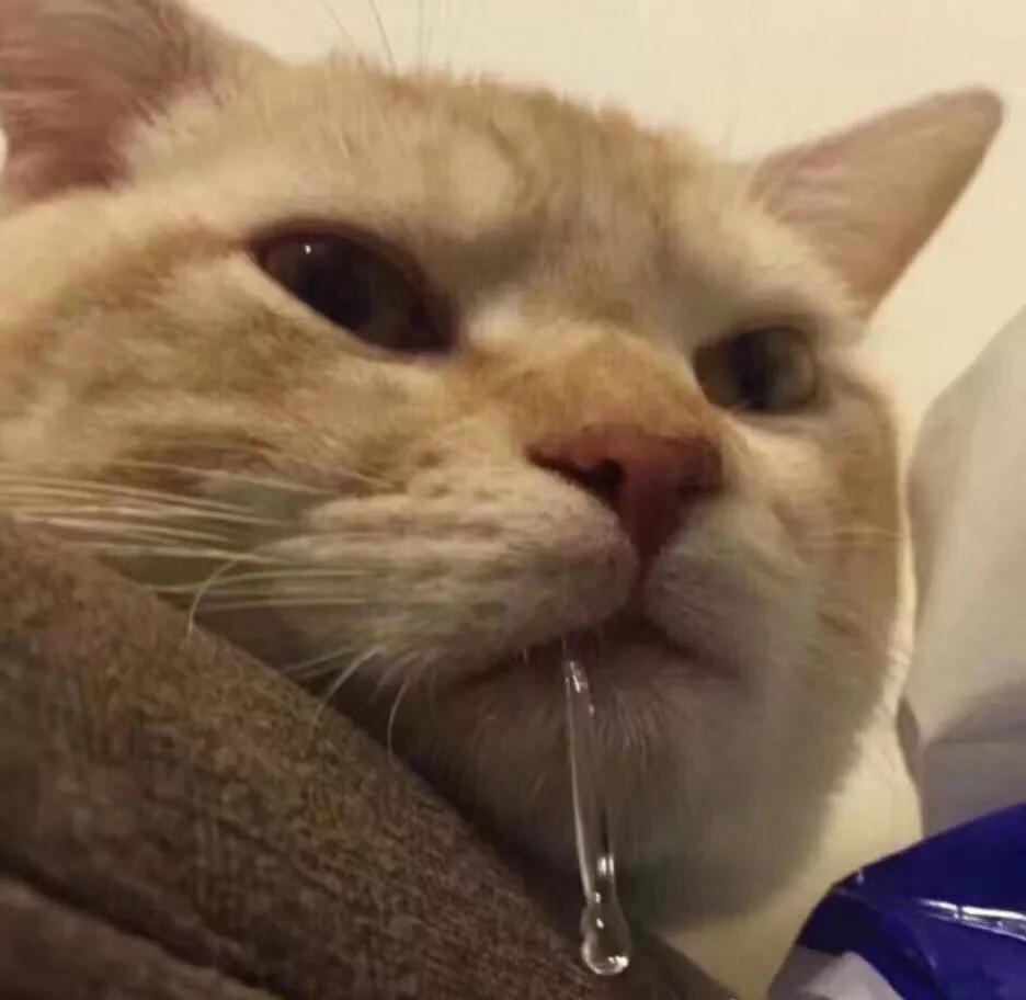 往年炒到天价的香港月饼，今年不香了？