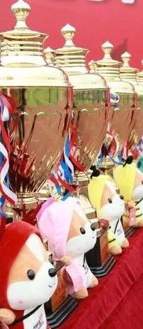 第八届京津冀校园足球邀请赛,京津冀中小学生足球邀请赛