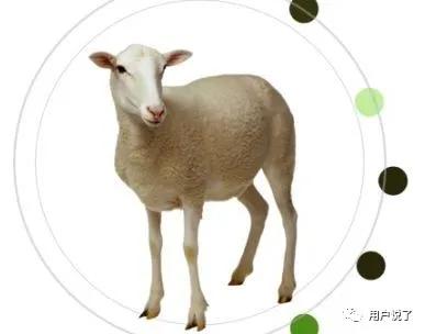 痴迷漫画手?男星敷手膜登热搜?手足膜蓄势上冲?