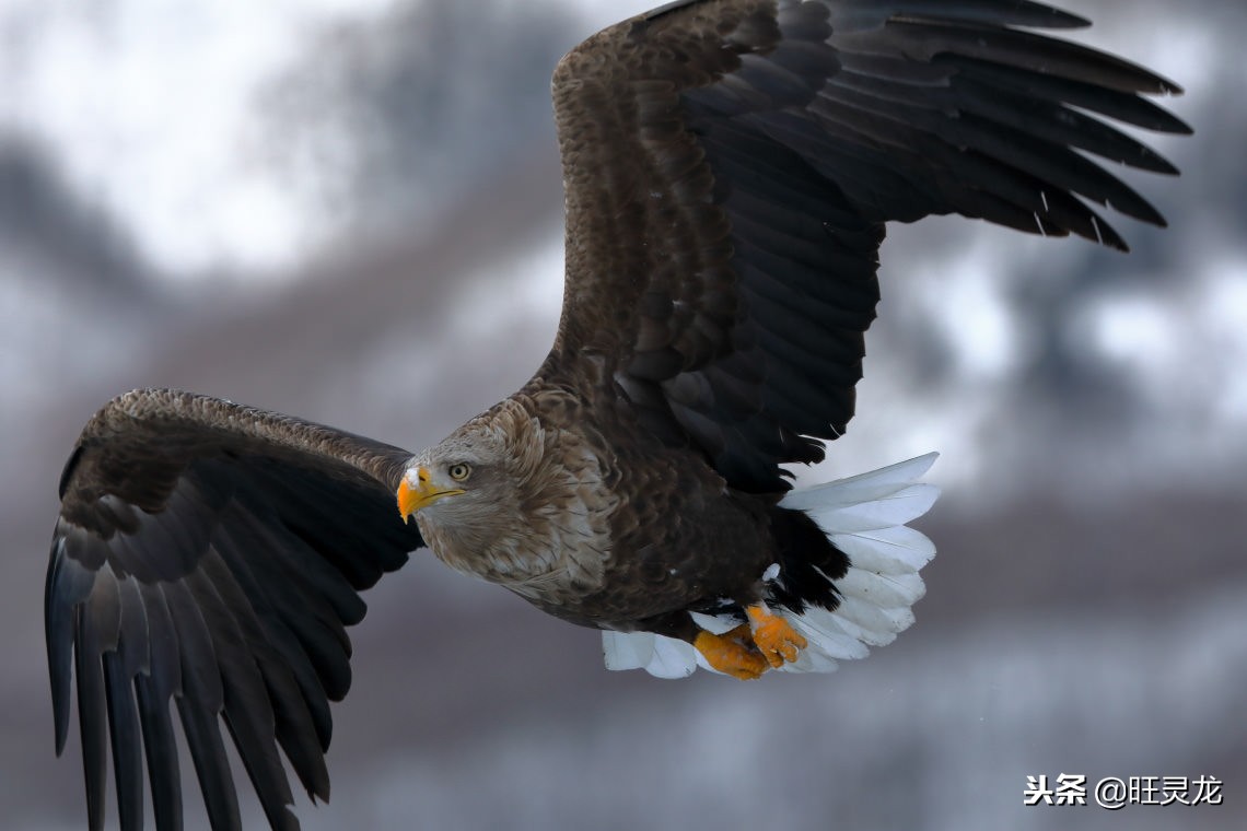摄影用的uv镜有用吗,相机镜头uv镜怎么选