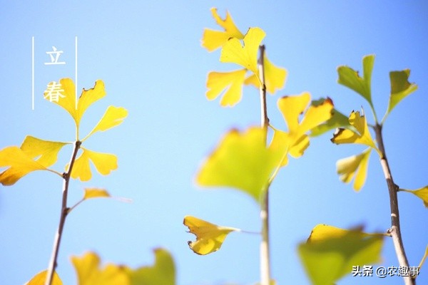 2019为什么称为寡妇年,2019年是寡妇年是真的吗