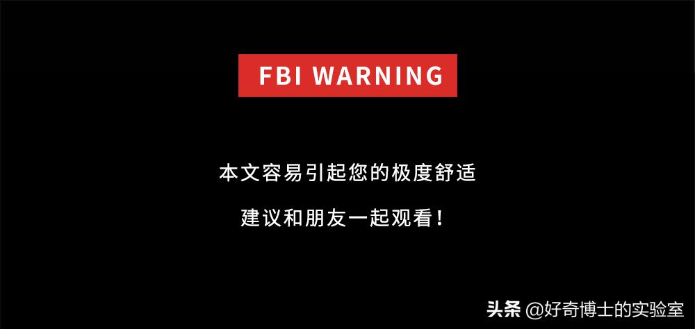 各种搞笑方法干掉蚊子,如何一次干掉100只蚊子