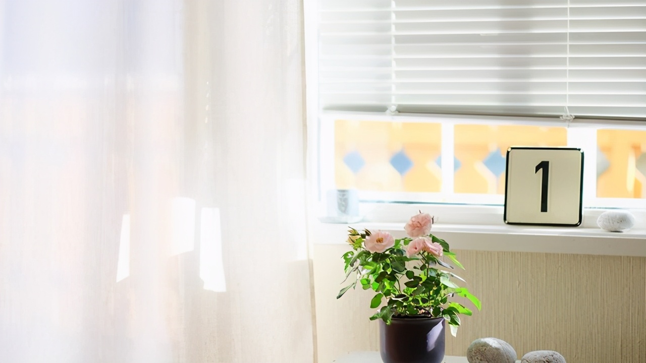 一句话励志评语简短精辟,50句最著名的励志评语