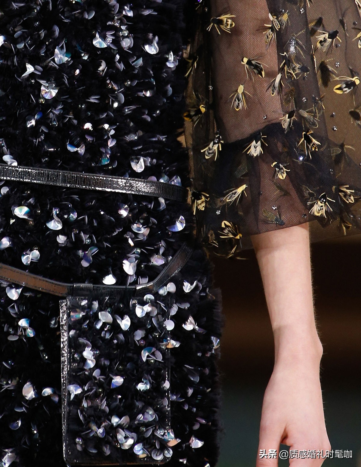 蝗虫算是物种入侵吗,蝗虫是圣甲虫吗