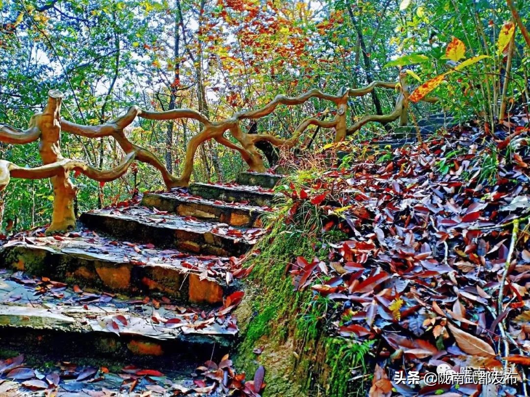 閲戠宄渤鍏洯,閲戠瑁曟渤鍥剧墖