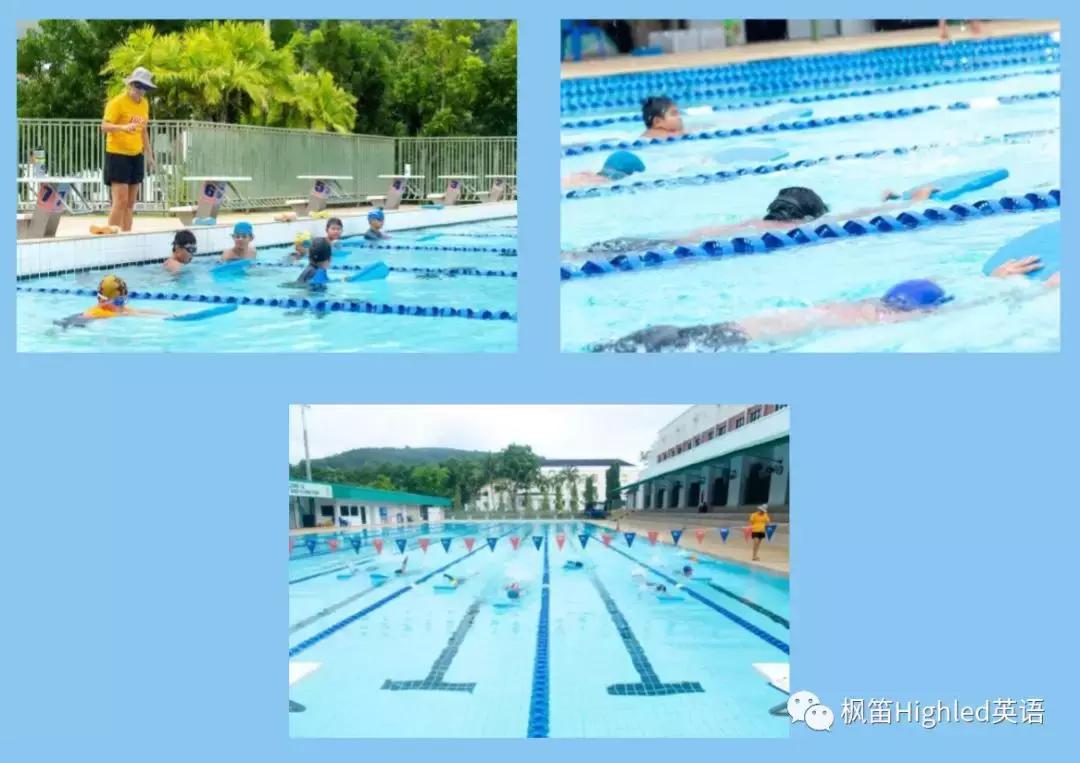 鏅悏鍥介檯瀛︽牎娓稿,鏅悏鍥介檯瀛︽牎娓稿椤圭洰