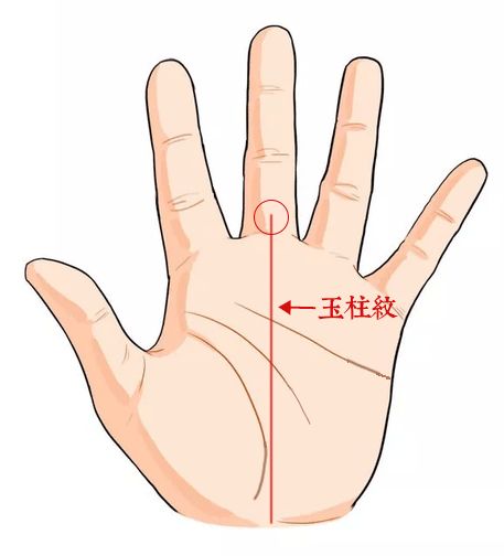 最命苦的手相手型,手中间一条直纹是什么手相