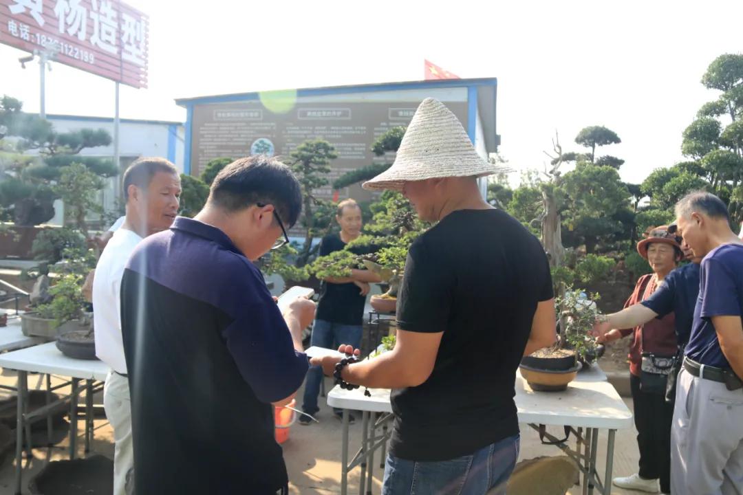 花木盆景活动,秋冬季花木节盆景展