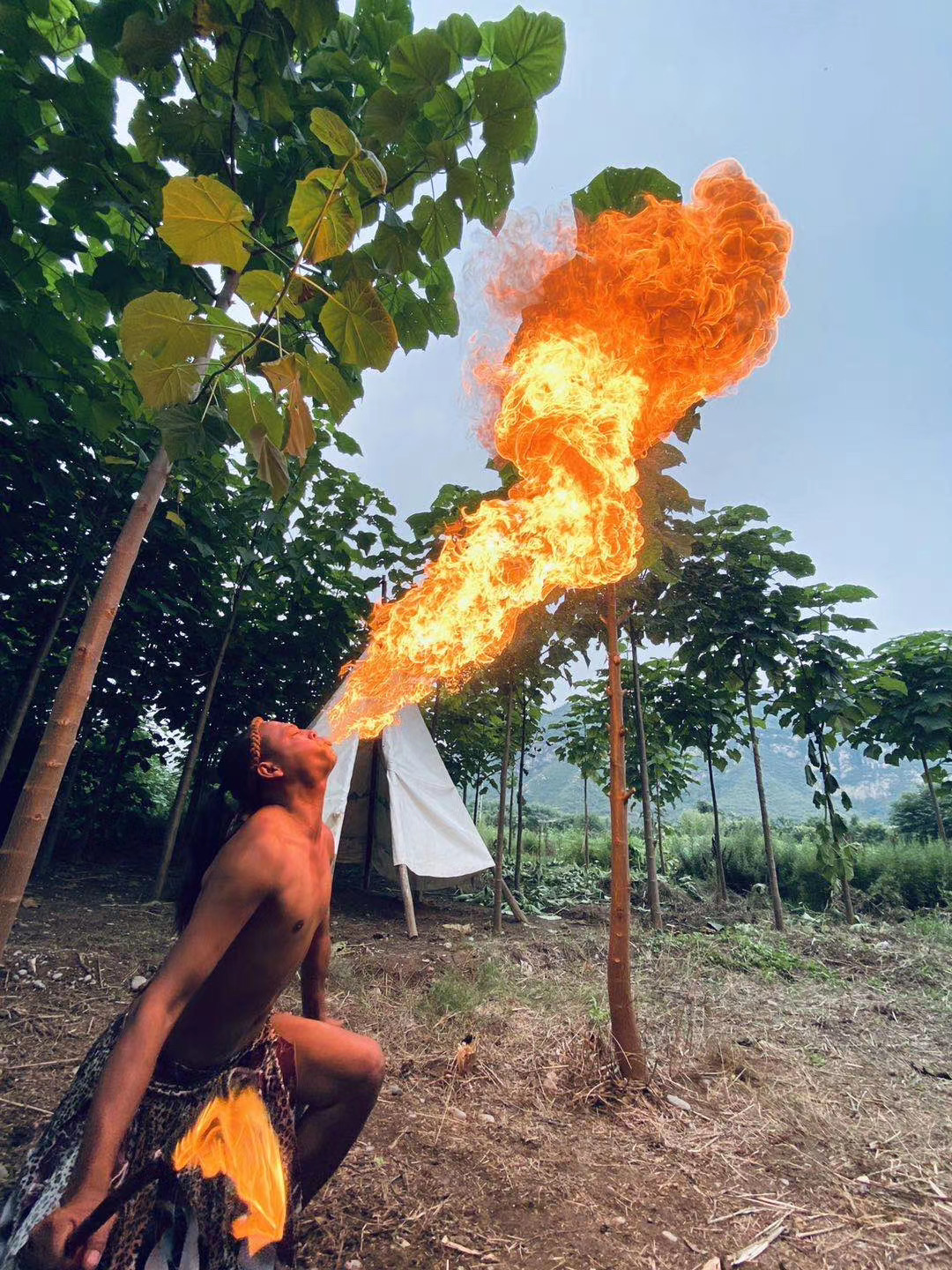 井陉豌豆农庄视频,河北省井陉县豌豆农庄