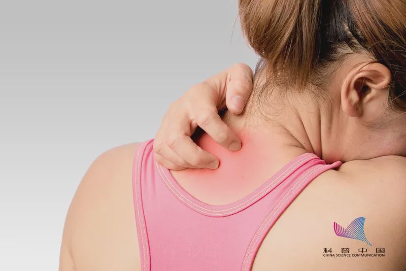 后背长小疙瘩的原因和解决方法,后背有疙瘩怎么去除