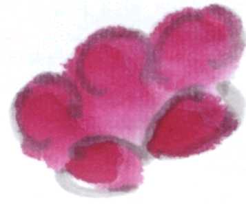 怎么画梅花和梅花树,写意画梅花的画法视频