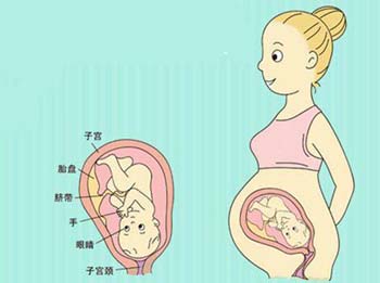 一般孕多少周宝宝出生比较好,足月小样喂养注意事项