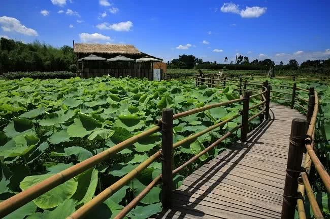 距离成都主城最近的郊区的距离,离成都只要30多分钟最宜居小城