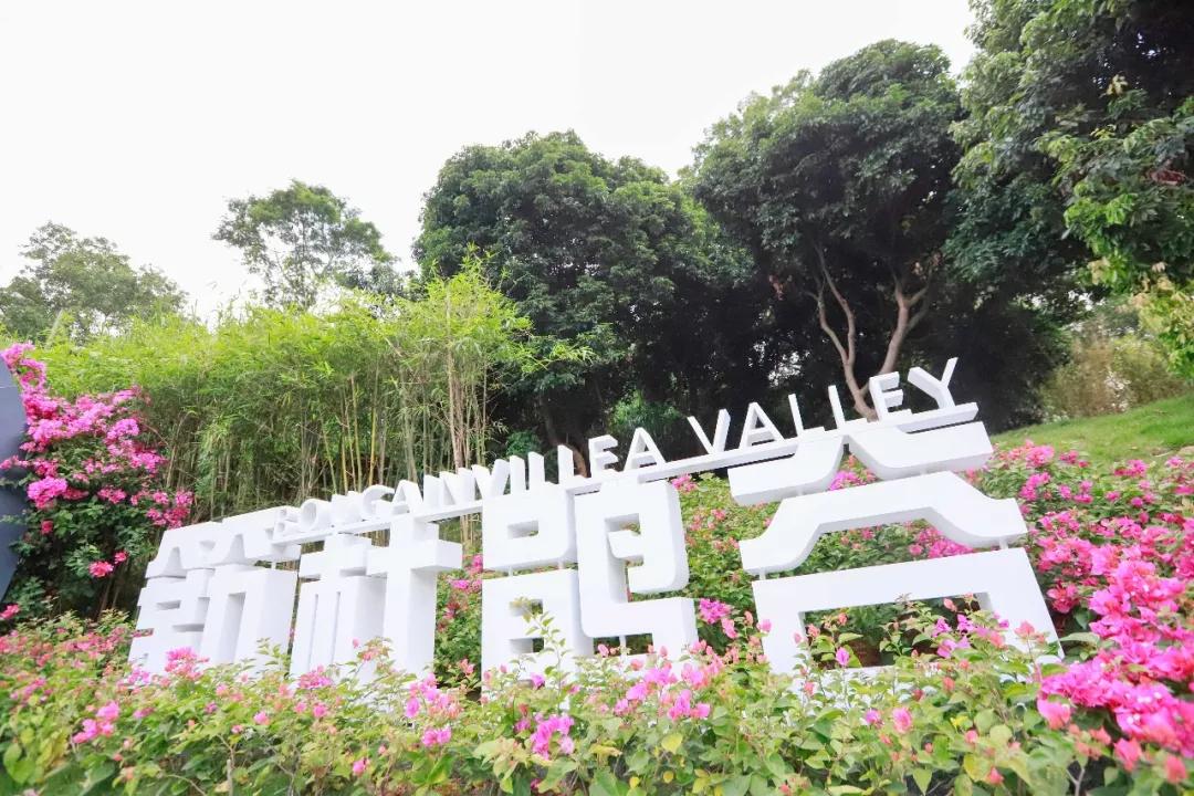 簕竹杜鹃谷公园,好看的杜鹃谷公园