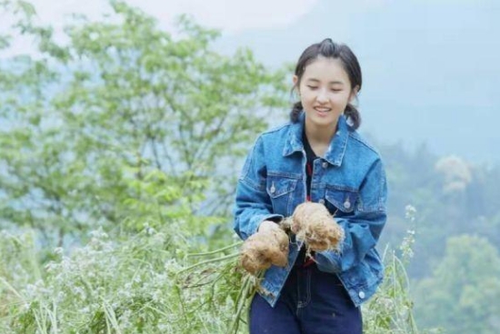 向往的生活四张子枫摘泰椒,向往的生活第四季张子枫摘菠萝