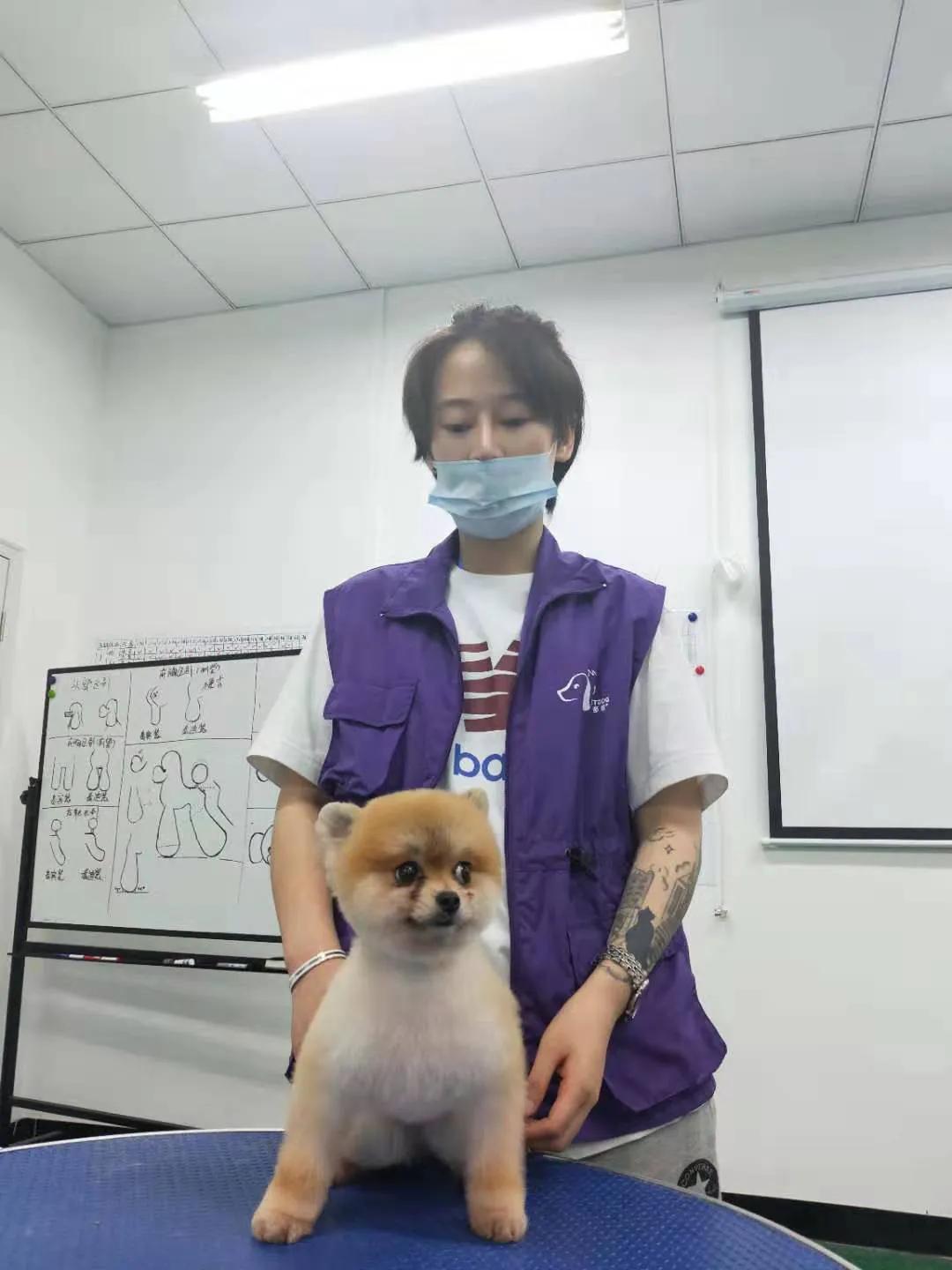 带你了解宠物医院,宠物医疗行业发展前景