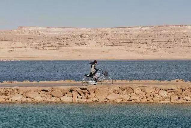 53天环游世界旅行,80天环游世界环游了哪几个国家