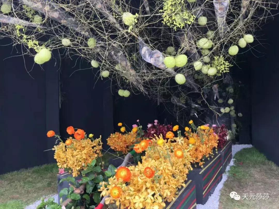 香港花卉艺术展,共赴盛会活动