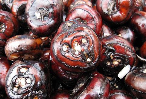 桂林荔浦马蹄：被誉为“地下明珠”，吃着清甜还能清热润肺