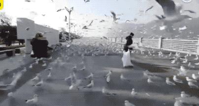 中国人再不出门，全世界都撑不住了，机票居然比打车还便宜