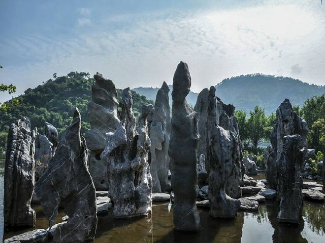 珠海石博园奇石在哪里,石博园精品奇石展示