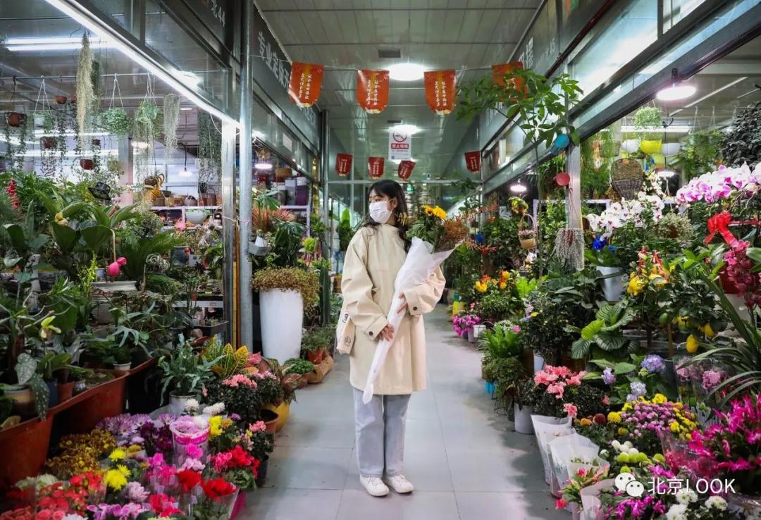 最便宜的北京花市,北京超好逛的花市