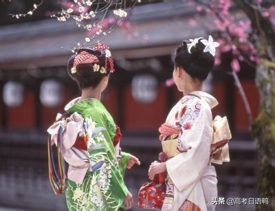 零基础学习日语的4大误区,学日语为什么不能考军校