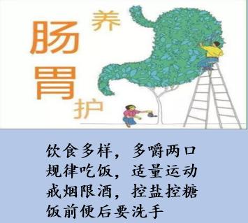 吃什么护肝养胃最好方法,春天养胃的最好方法