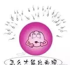 卵泡长不大一般是什么原因,为什么卵泡怎么也长不大不排