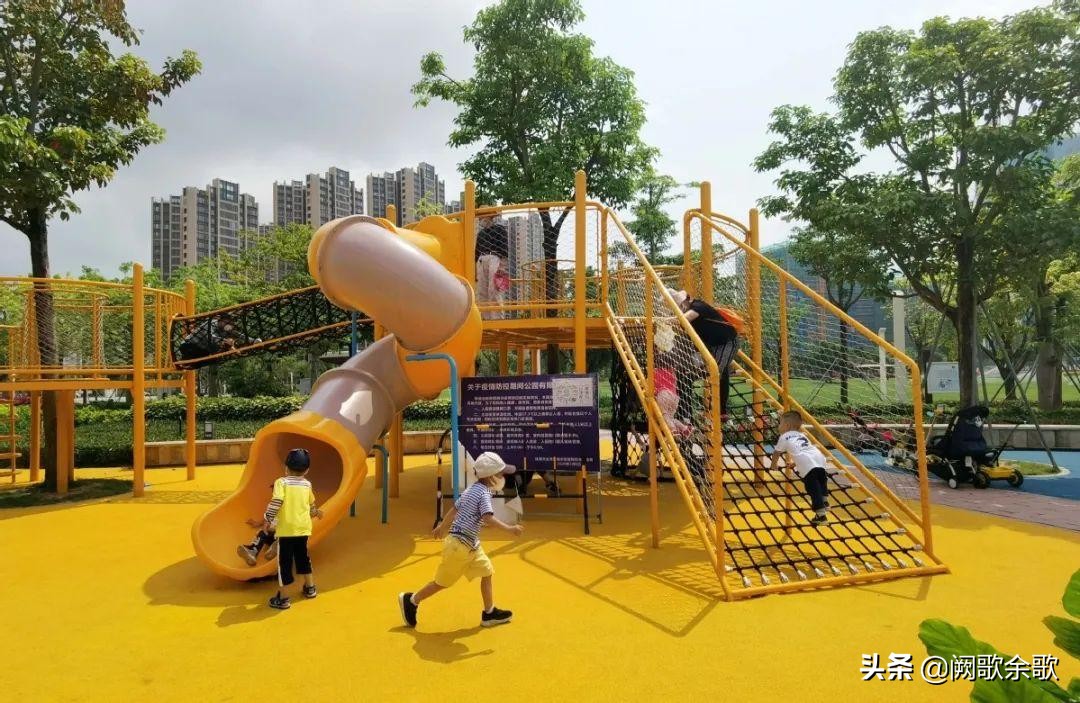 珠海公园森林风景,珠海公园美景视频