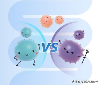 好消化的食物养肠,消暑饮食