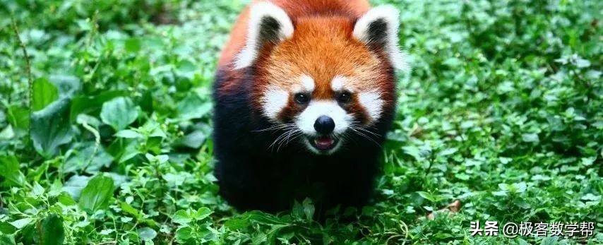 成都景区地图,成都各大景点详细攻略图片