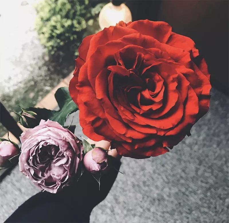 网上买东西怎么交智商税,网上买的智商税产品