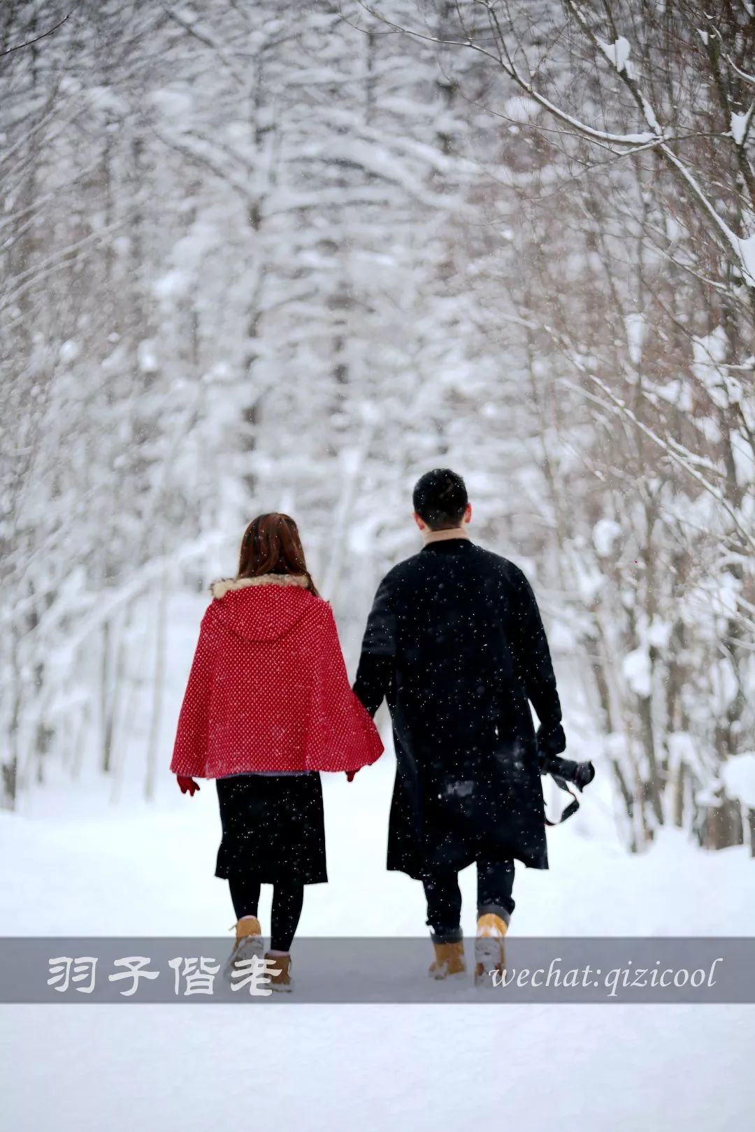 老实说，这一趟北海道就是为了拍好看的照片去的