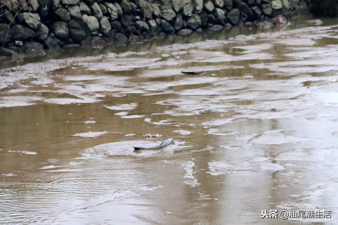 汕尾陆河农村,广东汕尾陆河新农村