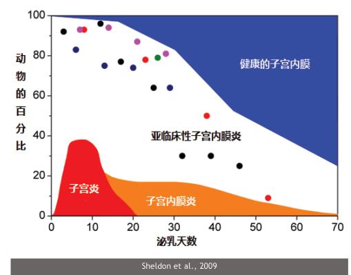 韩铁柱:新产牛疾病防治