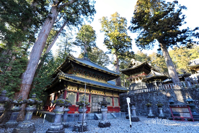 东京冬天附近游玩攻略,1月份的东京好去处