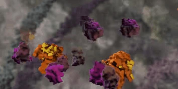 胰岛素是如何导致糖尿病的,胰岛素增多为什么会导致糖尿病