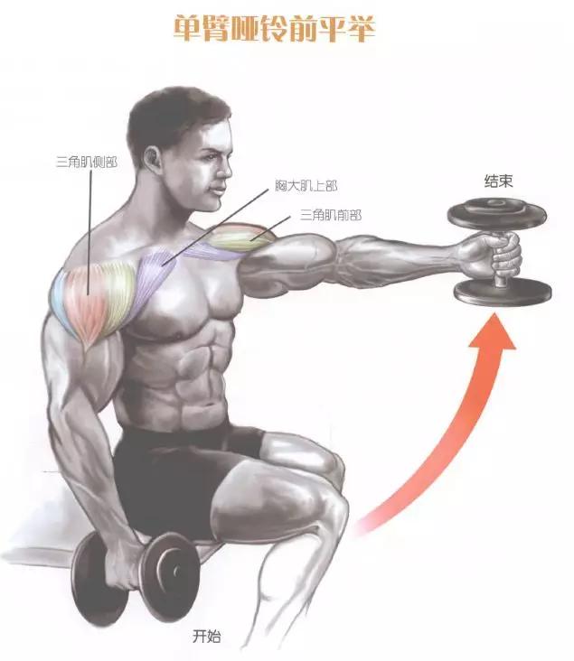 肩部肌肉训练有什么用,肩部训练肌肉线条的美感