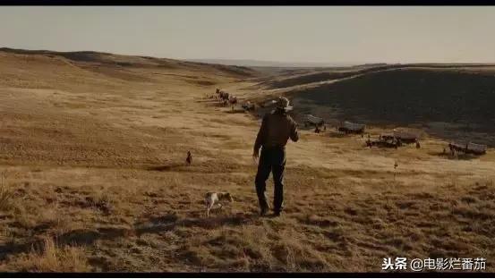 这部「R」级新片封神了！