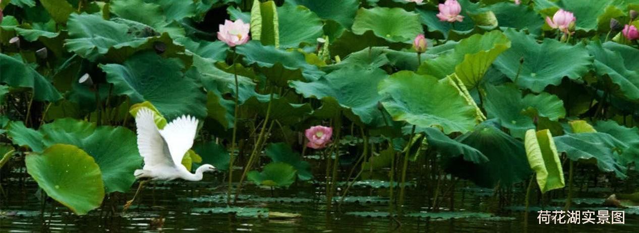 2020年昆明嘉丽泽恒大养生谷,昆明恒大嘉丽泽养生谷开工