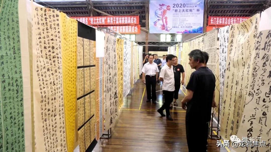 不断提升农产品附加值,闽西长汀县槟榔芋基地