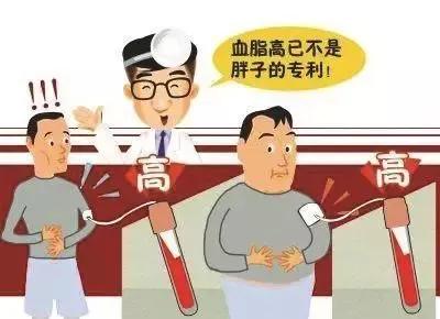 瘦人血脂代谢异常怎么解决,高血脂与脂代谢异常的关系